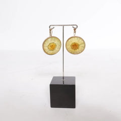 Goud, Transparant, Geel - Oorbellen