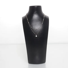 Zilverkleurige ketting met dubbele laag en hanger