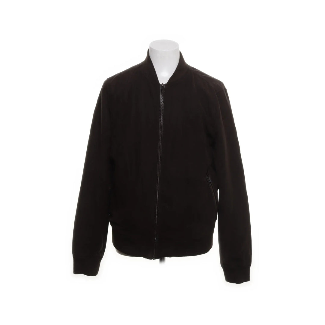 Mango Man | Bruin - Bomberjack