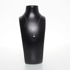 Zilveren Hanger Ketting