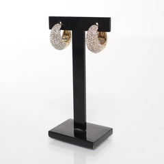 Glanzende Diamanten Oorringen