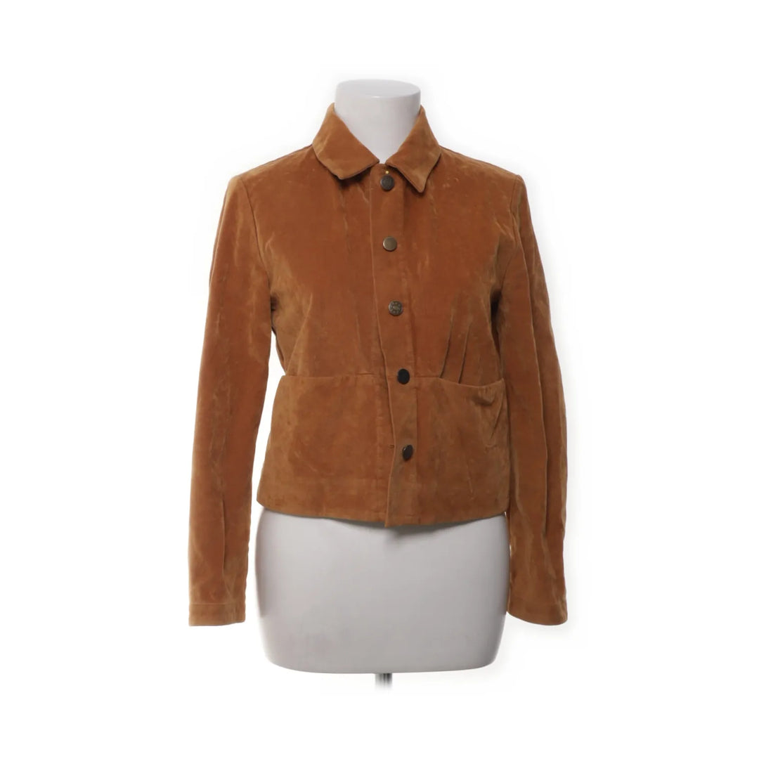 Adrett | Bruin - Jack