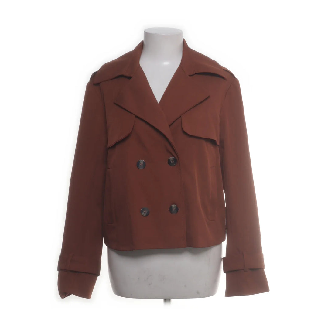 Unique 21 | Bruin - Jack