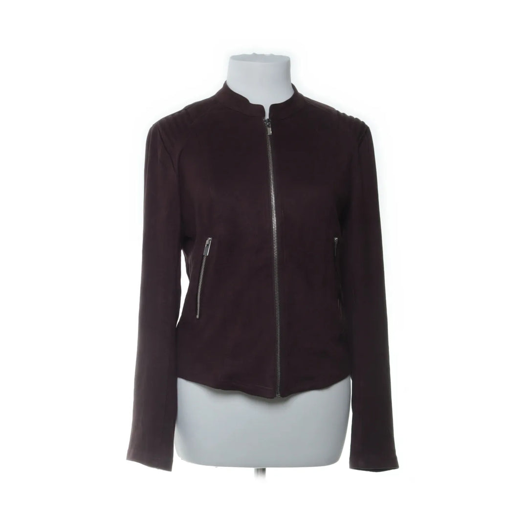 Rose Bud | Bruin - Jack