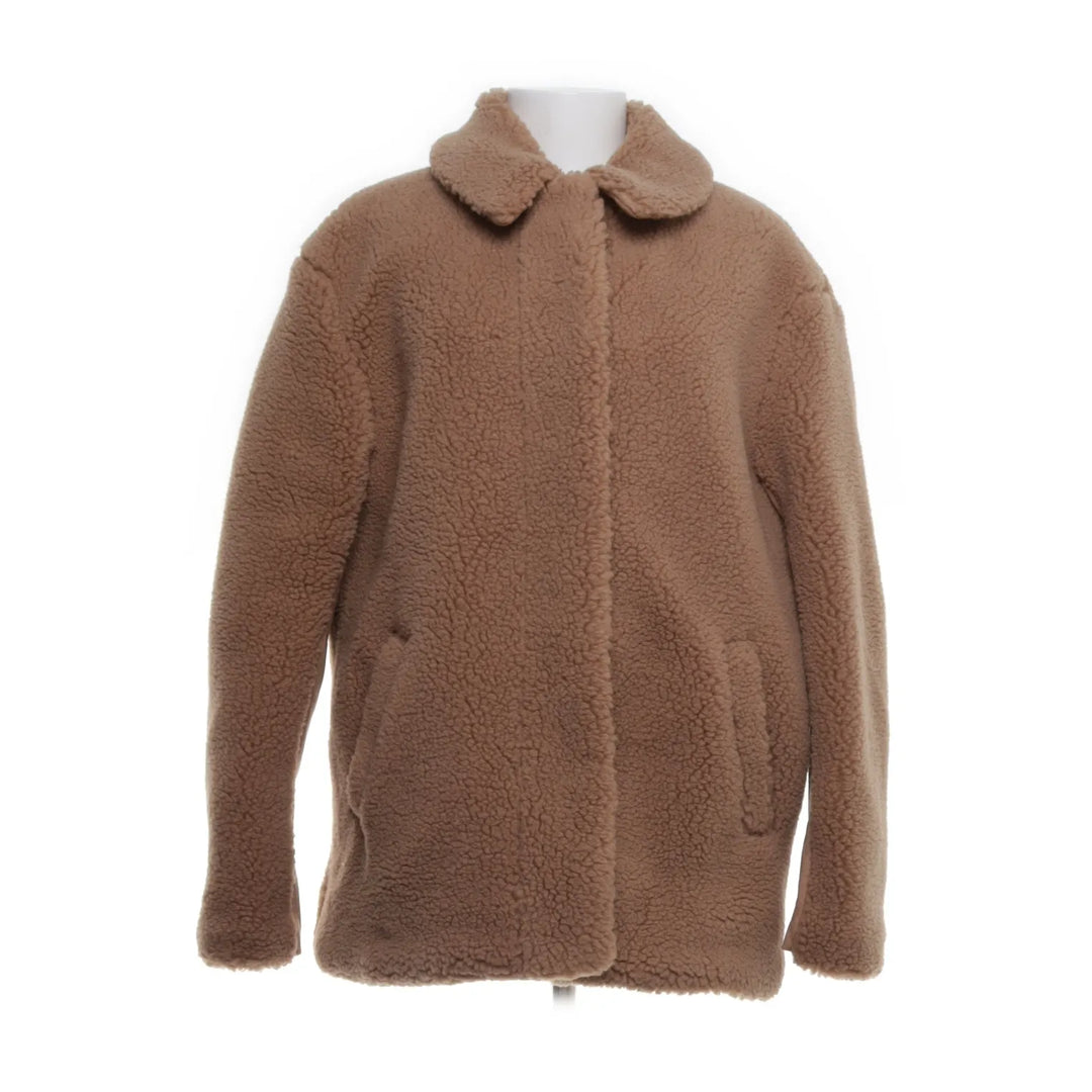 Joules | Beige - Jack