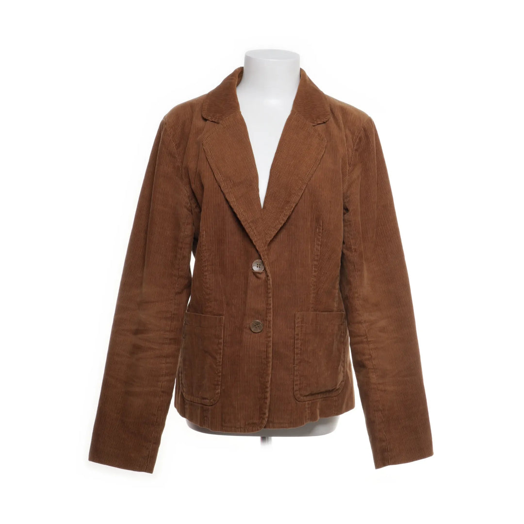 Flash | Bruin - Blazer